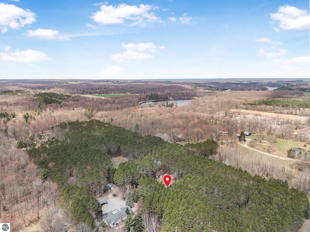9916 S M-37, Buckley, MI 49620 - drone / aerial view with a water view and a forest view