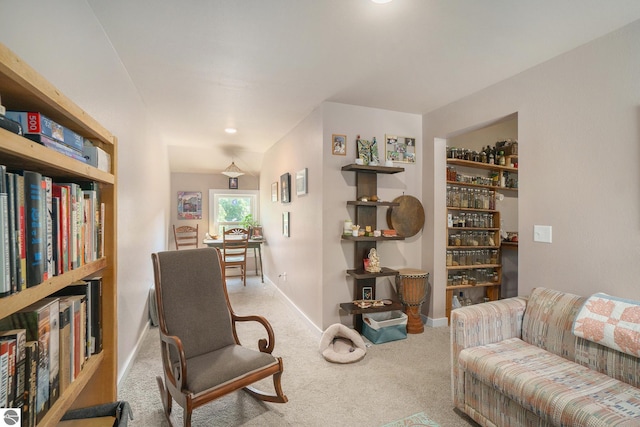 living area with carpet floors and baseboards