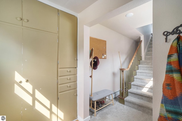 stairs with carpet flooring