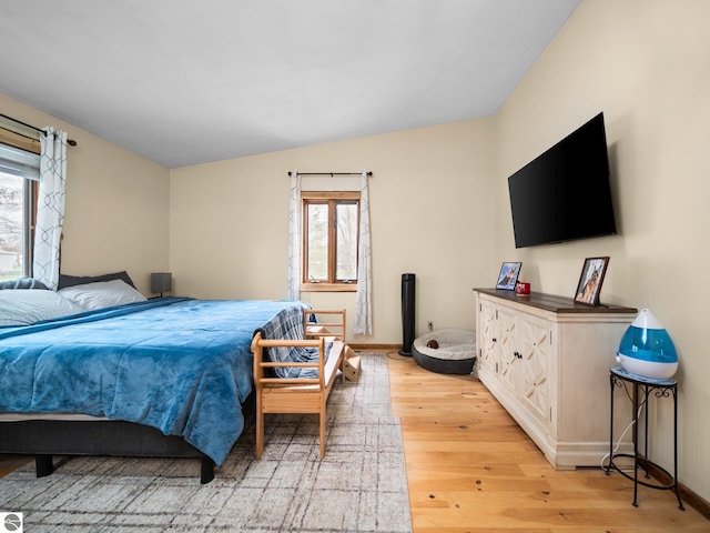 431 E Bittner Ave, Reed City, MI 49618 - bedroom with baseboards, lofted ceiling, multiple windows, and light wood finished floors