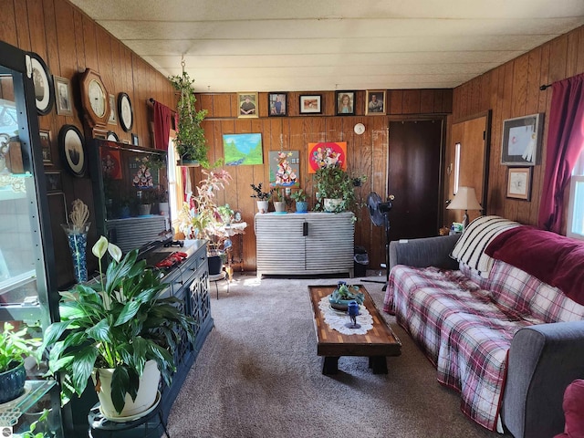 living room with carpet and wooden walls