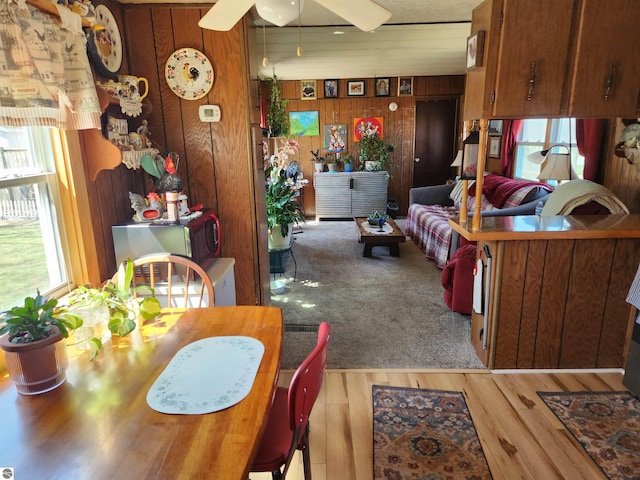 dining room featuring wooden walls, ceiling fan, and wood finished floors