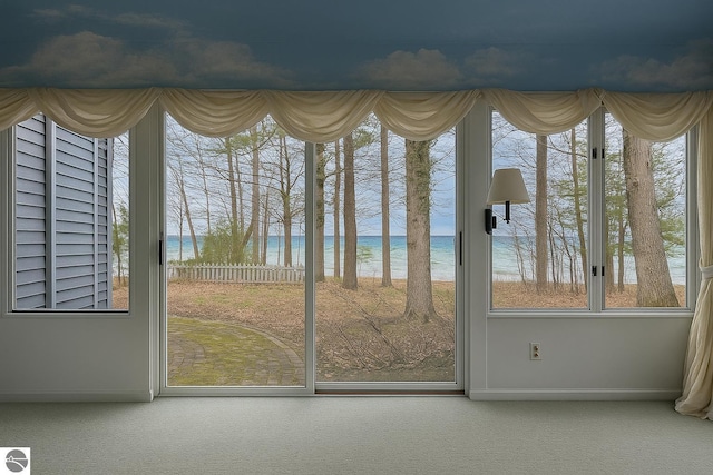 interior space with baseboards and carpet