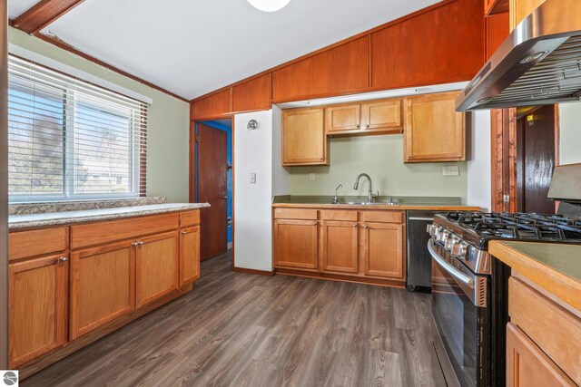kitchen with exhaust hood, a sink, stainless steel range with gas cooktop, lofted ceiling, and dark wood-style floors