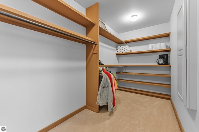 spacious closet featuring carpet flooring