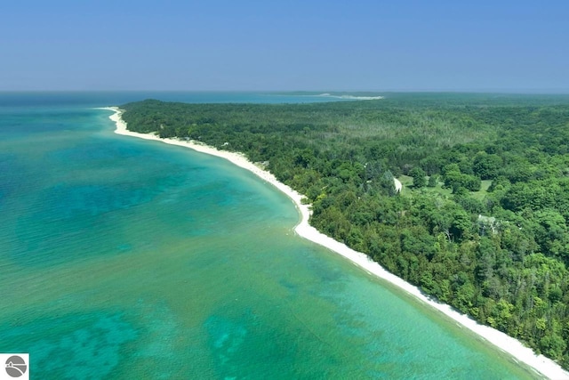 drone / aerial view featuring a water view, a view of trees, and a beach view