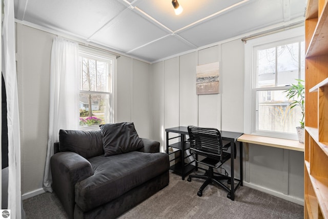 carpeted office with a decorative wall and a healthy amount of sunlight