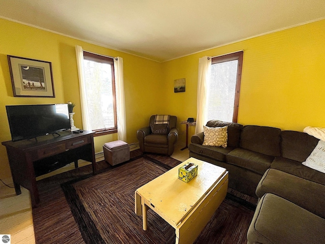 living area featuring plenty of natural light, a baseboard heating unit, and wood finished floors