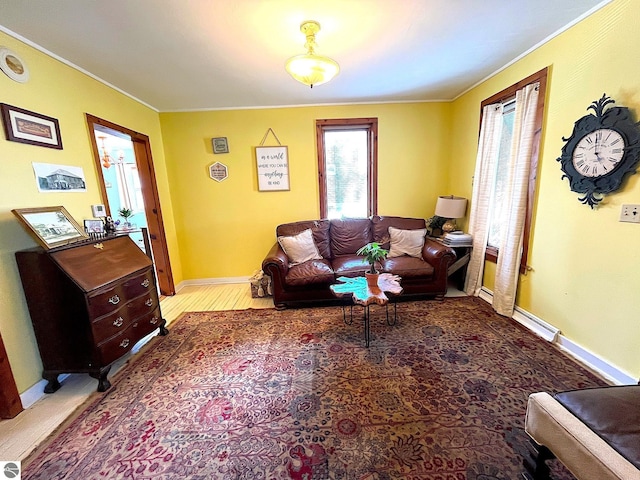 living room with baseboards and crown molding