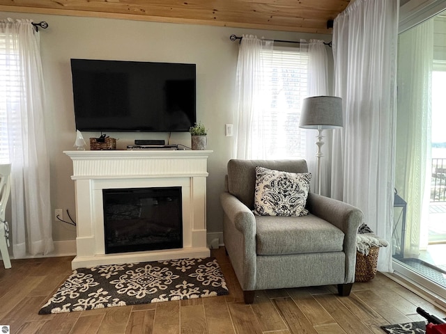 living area featuring a glass covered fireplace, wood finished floors, and a healthy amount of sunlight