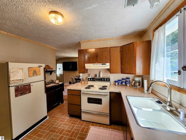 kitchen featuring a sink, white appliances, light countertops, brown cabinetry, and under cabinet range hood