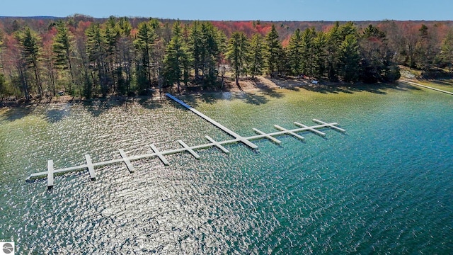 9086 N Tottenham Dr, Traverse City, MI 49685 - aerial view with a forest view