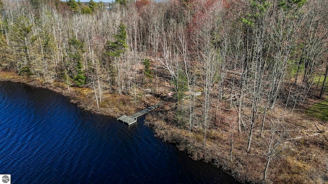 9086 N Tottenham Dr, Traverse City, MI 49685 - drone / aerial view with a water view