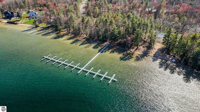 9086 N Tottenham Dr, Traverse City, MI 49685 - drone / aerial view