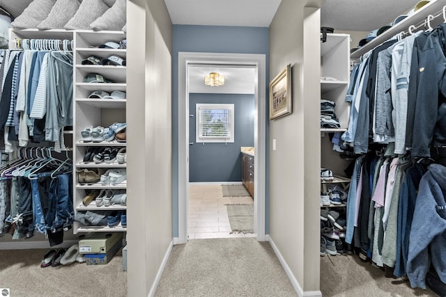 spacious closet featuring carpet floors