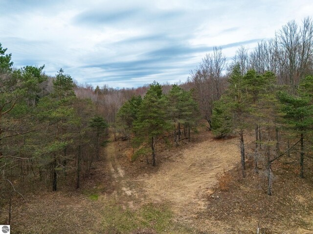 view of nature featuring a view of trees