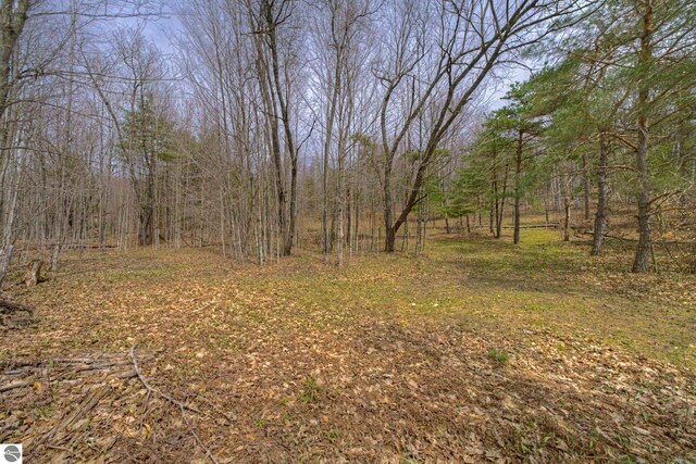view of nature with a wooded view
