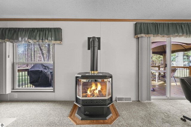 interior details featuring carpet floors, visible vents, and a wood stove