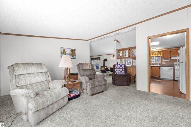 living room featuring ornamental molding, carpet flooring, and a textured ceiling