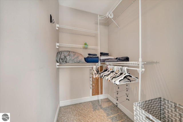 spacious closet with carpet flooring