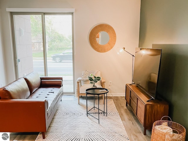 630 S Garfield Ave Unit 108, Traverse City, MI 49686 - living room with light wood finished floors