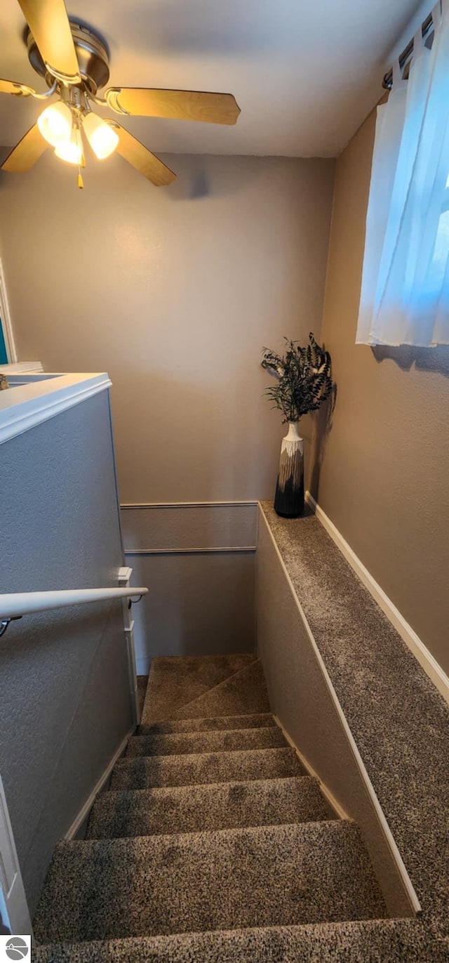 stairway featuring carpet floors and a ceiling fan