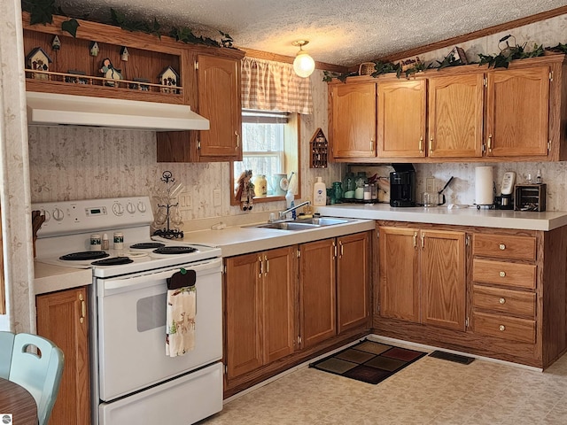 kitchen with a sink, light countertops, white electric range oven, and under cabinet range hood