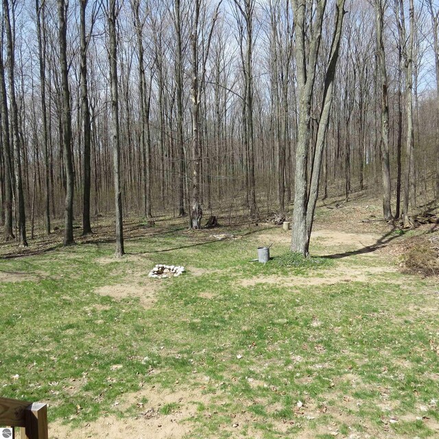 4326 Antioch Dr, Mesick, MI 49668 - view of yard featuring a wooded view