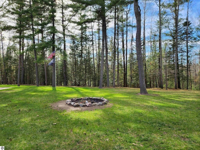 1697 Wildwood Rd, Sterling, MI 48659 - view of yard with a wooded view and a fire pit