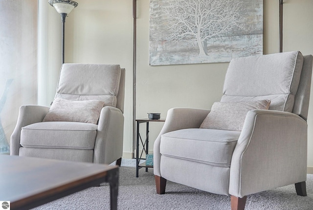 sitting room with carpet floors