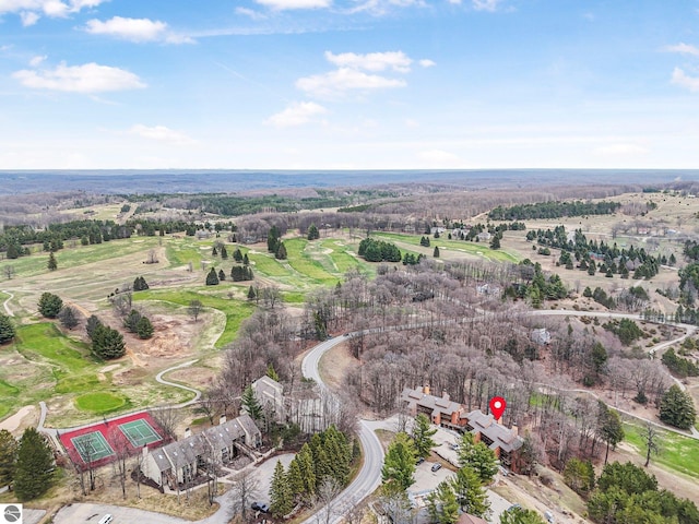 bird's eye view