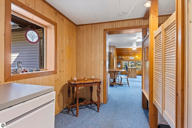 hall featuring crown molding, carpet flooring, and wood walls