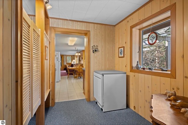 laundry area with crown molding, wood walls, carpet floors, and tile patterned floors