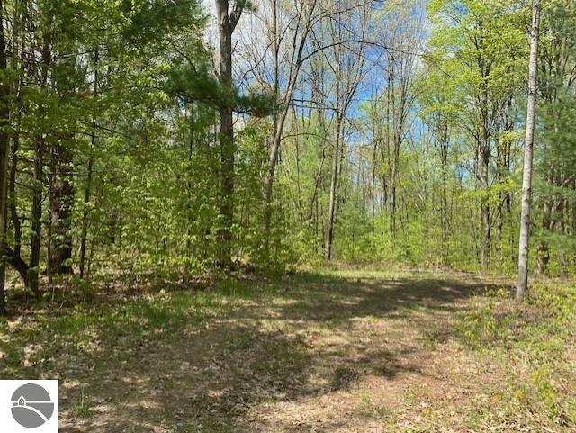3474 Lost Lake Trl, Kalkaska, MI 49646