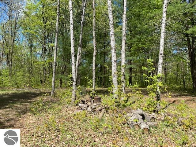 3474 Lost Lake Trl, Kalkaska, MI 49646
