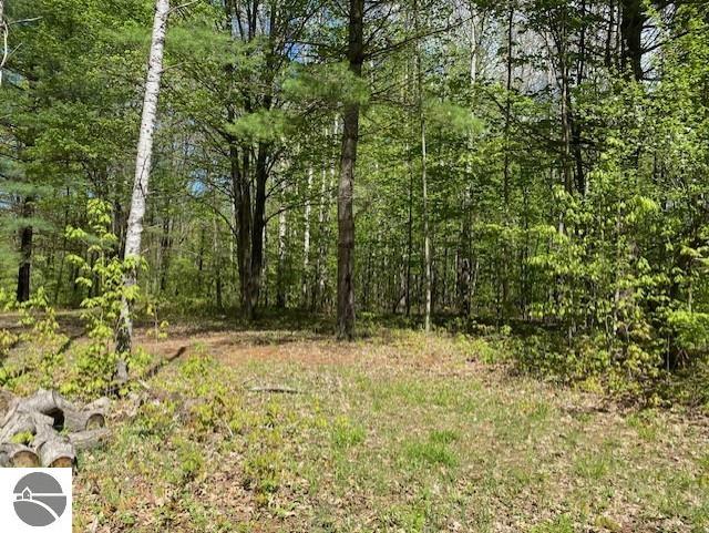 3474 Lost Lake Trl, Kalkaska, MI 49646