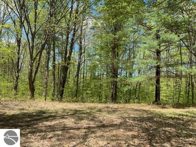 3474 Lost Lake Trl, Kalkaska, MI 49646