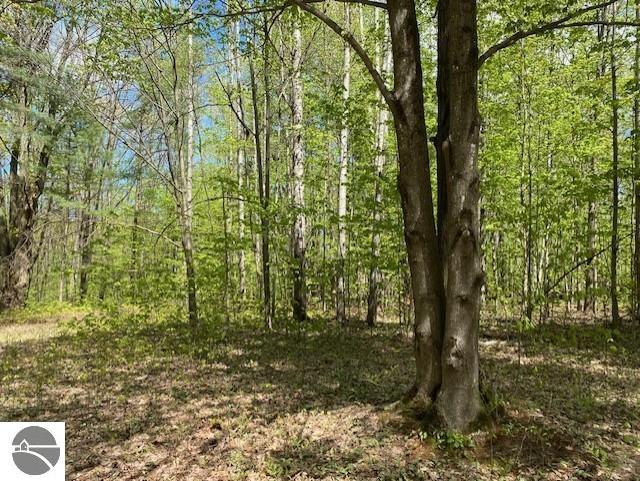 3474 Lost Lake Trl, Kalkaska, MI 49646