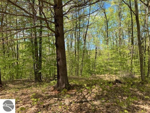 3474 Lost Lake Trl, Kalkaska, MI 49646