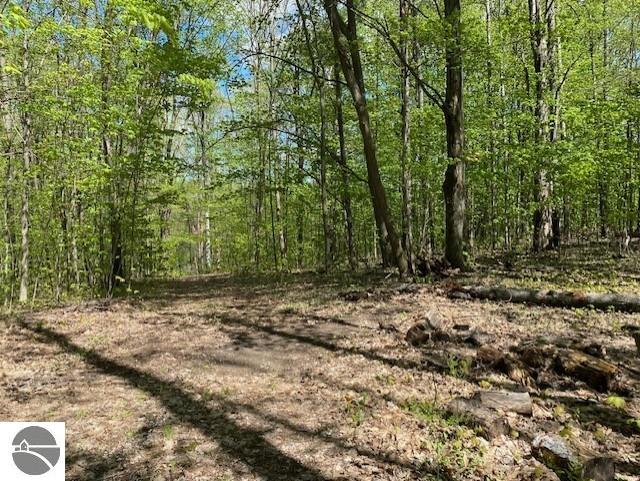 3474 Lost Lake Trl, Kalkaska, MI 49646