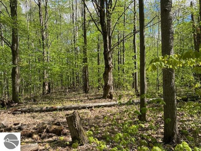 3474 Lost Lake Trl, Kalkaska, MI 49646