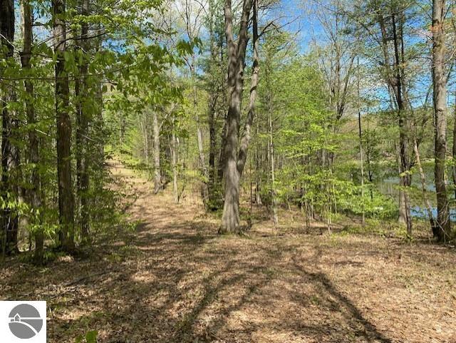 3474 Lost Lake Trl, Kalkaska, MI 49646
