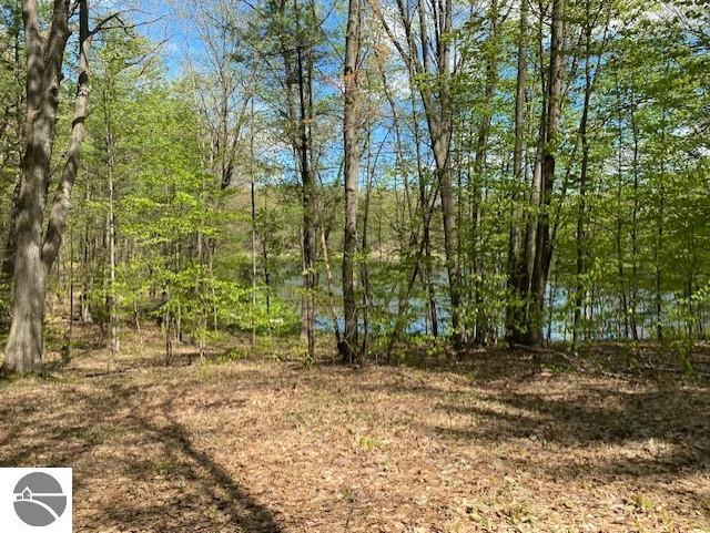 3474 Lost Lake Trl, Kalkaska, MI 49646