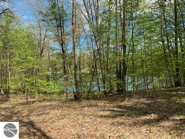 3474 Lost Lake Trl, Kalkaska, MI 49646