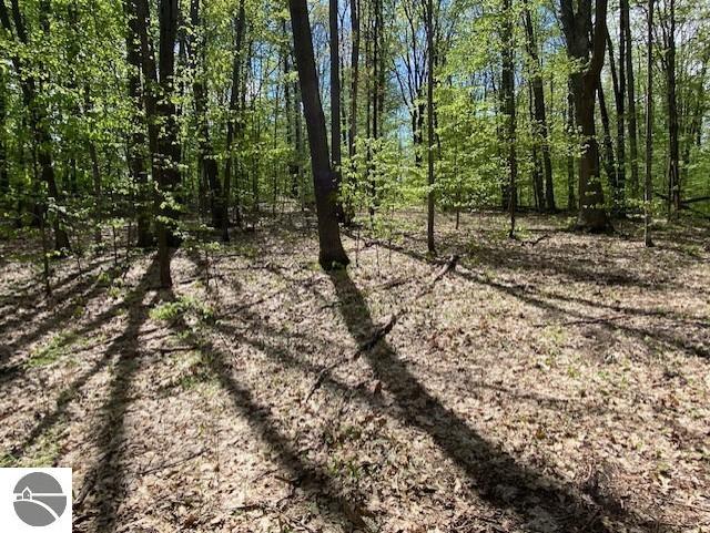 3474 Lost Lake Trl, Kalkaska, MI 49646