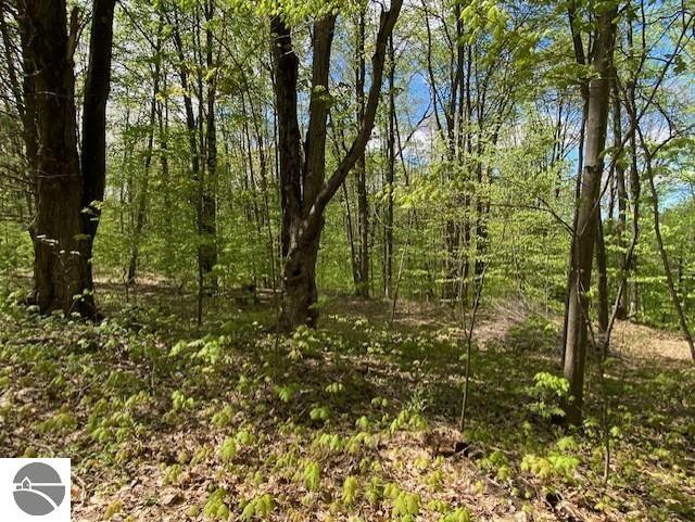 3474 Lost Lake Trl, Kalkaska, MI 49646
