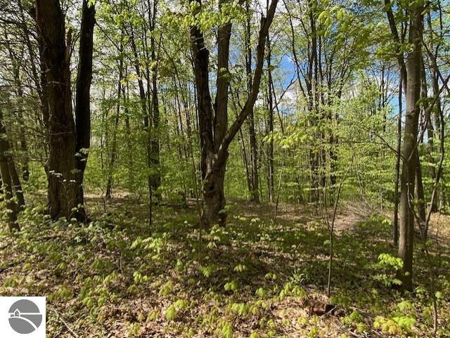 3474 Lost Lake Trl, Kalkaska, MI 49646