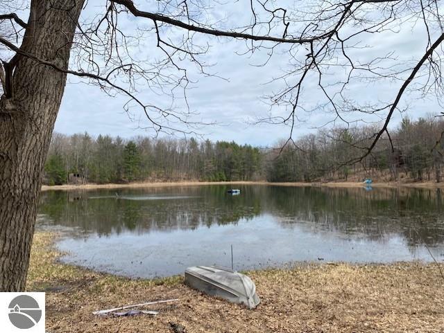 3474 Lost Lake Trl, Kalkaska, MI 49646