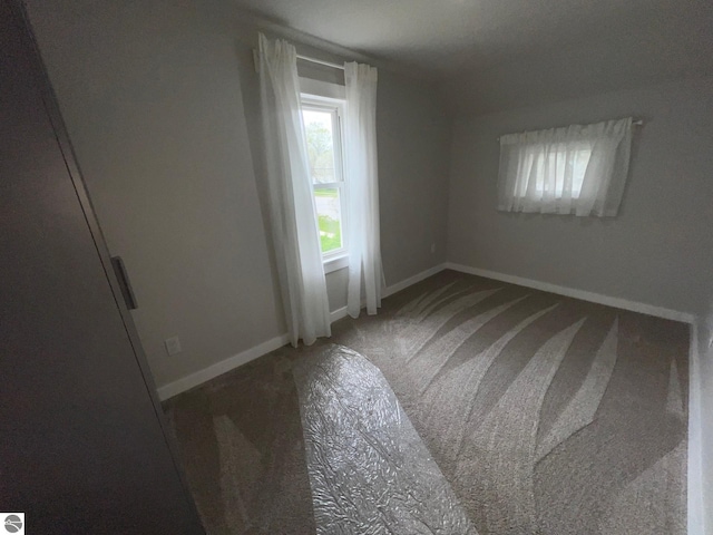 additional living space with baseboards and carpet flooring