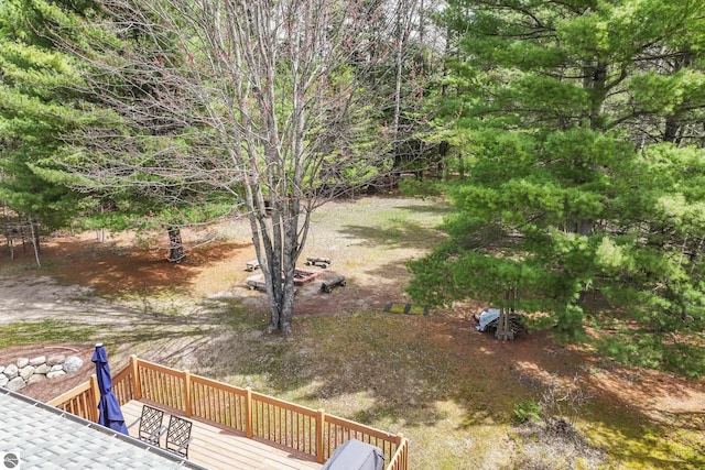 view of yard featuring a wooden deck